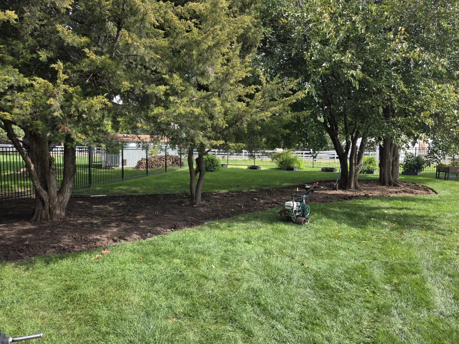 Sod removed for a landscape bed beneath mature trees in Elkhorn