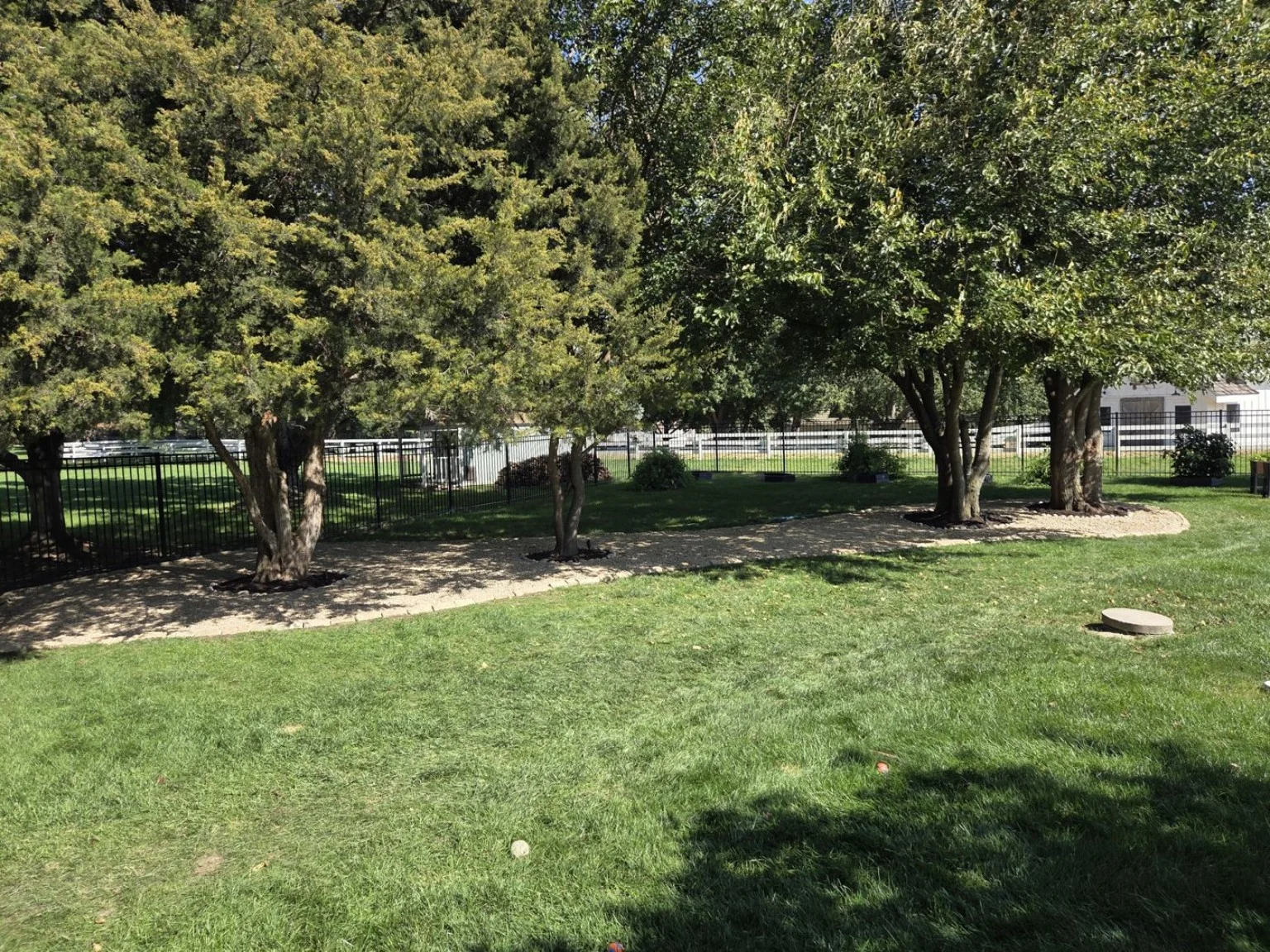 Green lawn beneath trees at the Elkhorn property