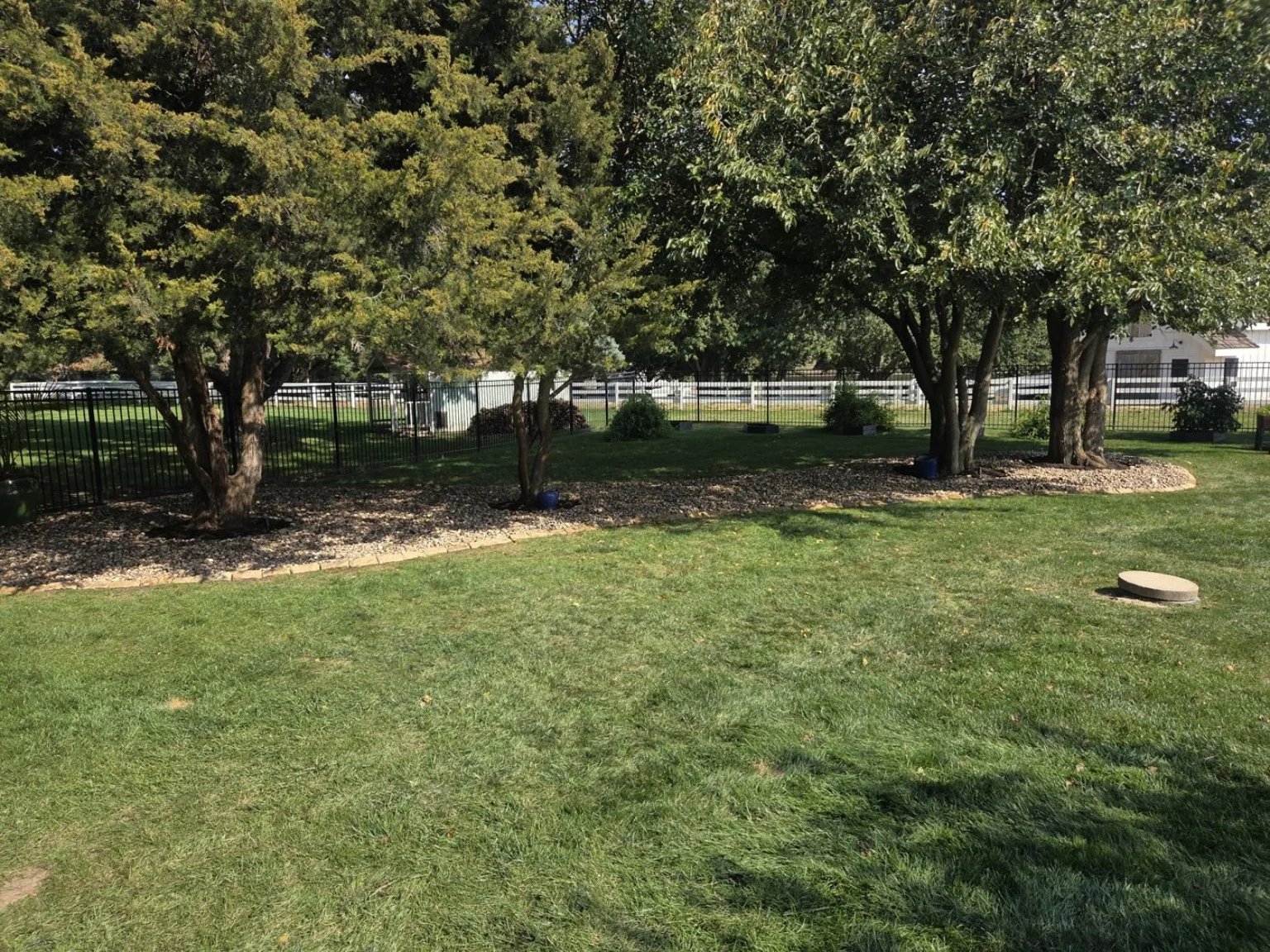 Lawn at the Elkhorn property