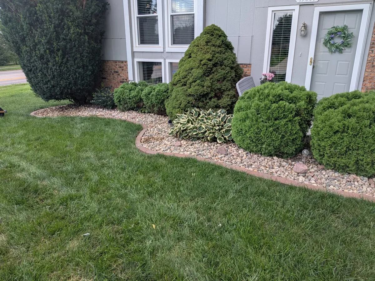Trimmed shrubs beside a home