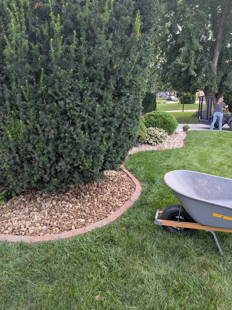 Garden edge beside shrubs and a lawn